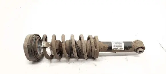 BMW X3 F25 Rear shock absorber/damper 6796317