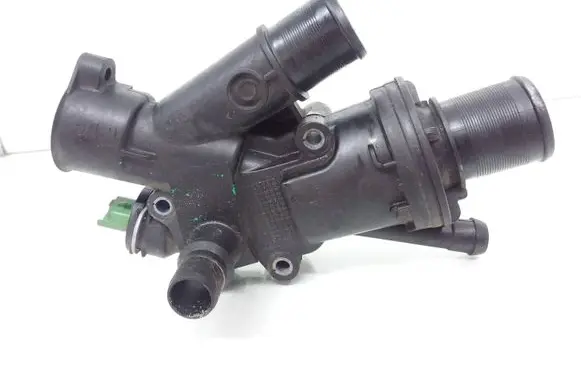 Thermostat/thermostat housing
