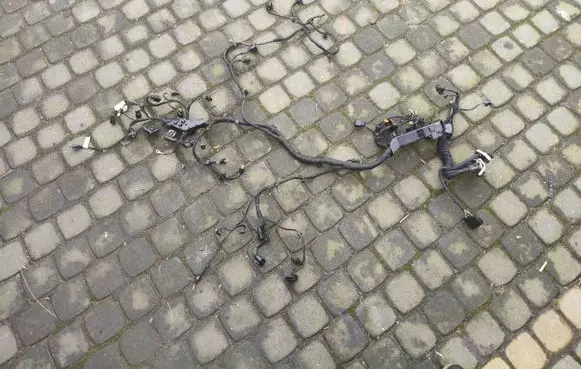 Audi A4 S4 B9 Other wiring loom 5009055157 779601407A Z300302961