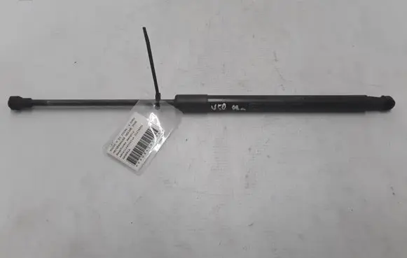 Tailgate strut