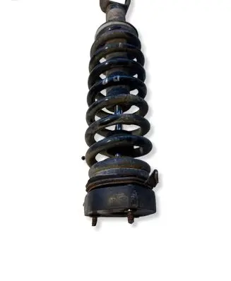 Dodge RAM 1500 DS Front shock absorber/damper 