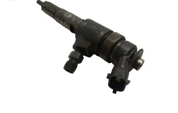 Citroen C3 Fuel injector 0445110075