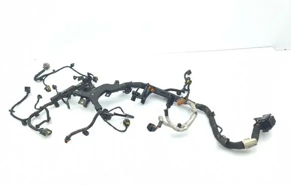 Engine installation wiring loom