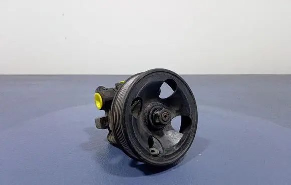 KIA Carens II Power steering pump 