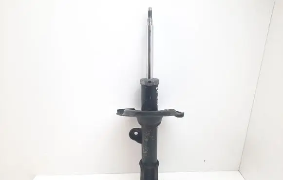 Hyundai Santa Fe Front shock absorber/damper