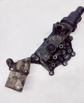 Thermostat/thermostat housing