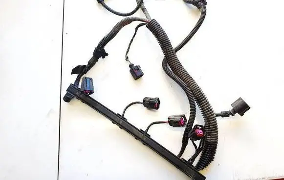 Other wiring loom