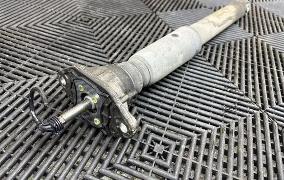 Porsche Panamera (970) Rear shock absorber/damper 97033314504