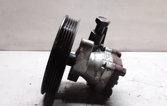 Hyundai Santa Fe Power steering pump