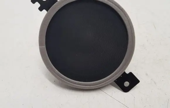 Panel speaker