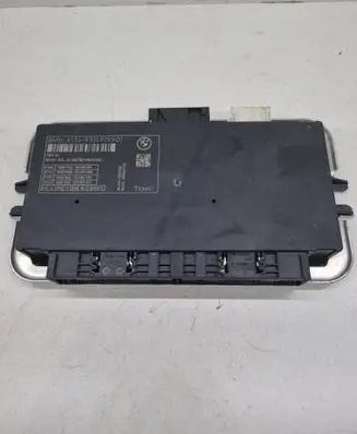 BMW 5 F10 F11 Light module LCM 9313929 0000106E 0000176300
