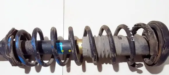 Honda Accord Rear coil spring