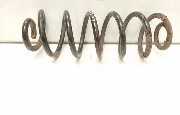 Rear coil spring