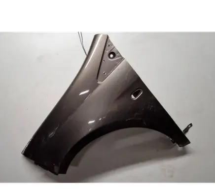 Fiat Bravo Fender