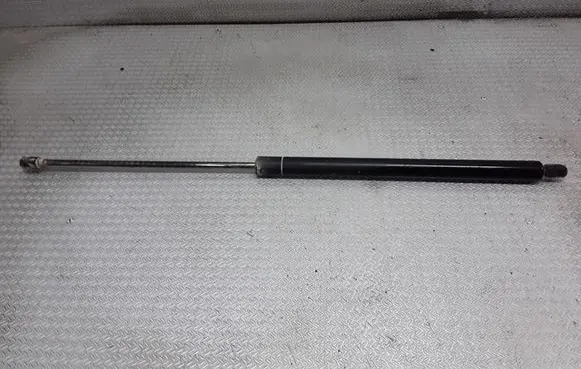 Tailgate/trunk strut/damper