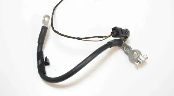 Volkswagen Phaeton Negative earth cable (battery) 3D0971235