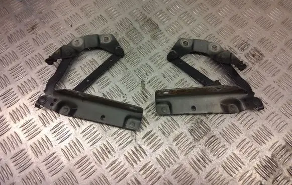Land Rover Evoque I Engine bonnet/hood hinges GH52-16801-AC