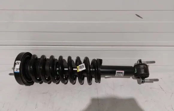 Ford F150 Front shock absorber with coil spring ML3418045