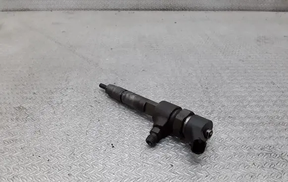Fiat Punto (188) Fuel injector 0445110019