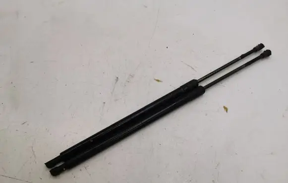 Tailgate strut