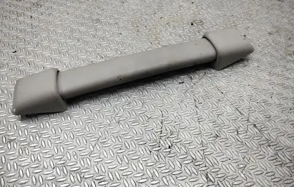 Chrysler Pacifica Rear interior roof grab handle