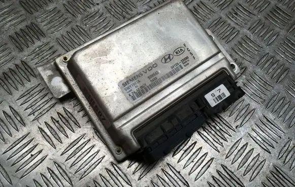 Hyundai Trajet Engine control unit/module 5WY1981A