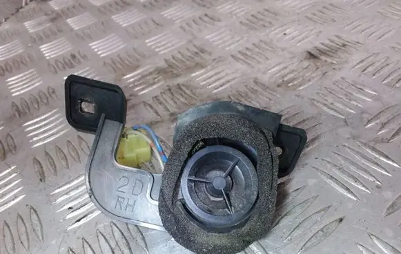 Front door high frequency speaker