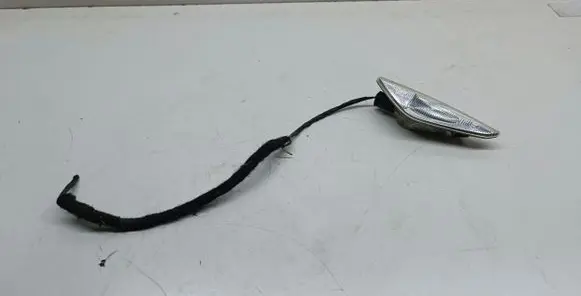 BMW X5 E70 Front fender indicator light 7171007