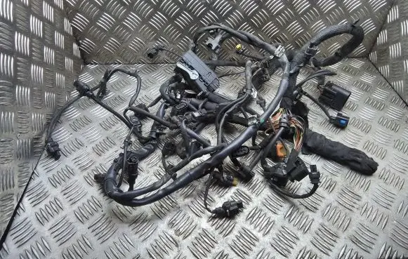 Engine installation wiring loom
