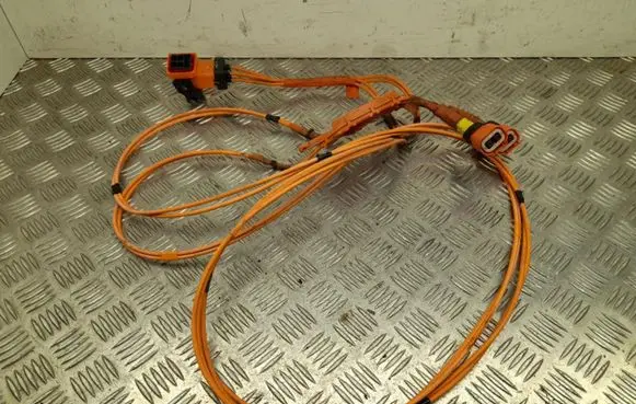 Tesla Model Y Other wiring loom 110016900D