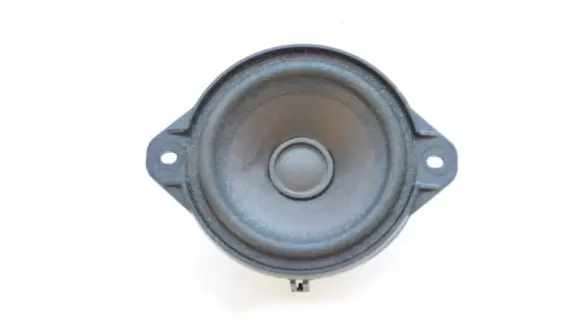 Tesla Model S Rear door speaker