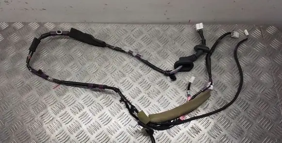 Lexus RX 450H Front door wiring loom 8215348180