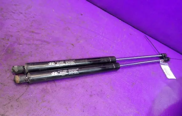 Tailgate strut