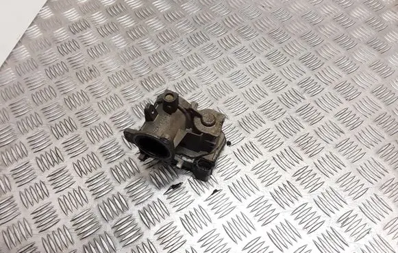 Fiat Doblo Throttle valve 55213019