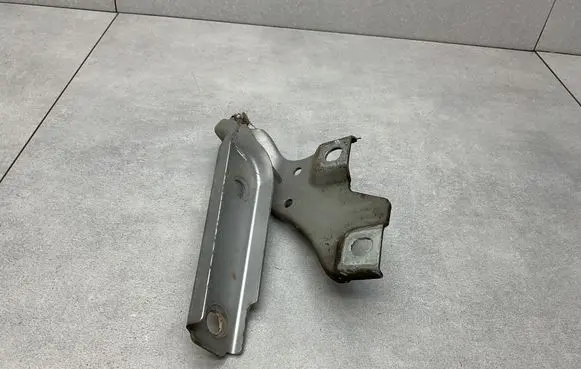 Volkswagen PASSAT B8 Engine bonnet/hood hinges 3G0823301