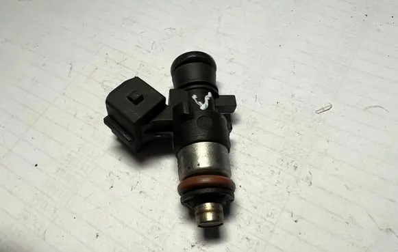 Dacia Sandero Fuel injector 8200292590 0280158046