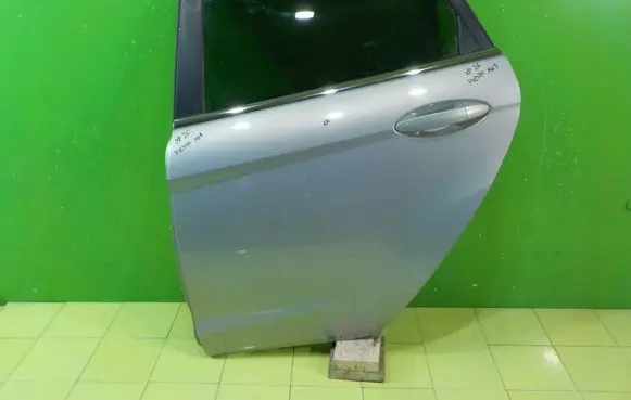 Ford Fiesta Rear door LEWE