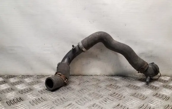 Volkswagen PASSAT B6 Engine coolant pipe/hose 3C0122291 3C0121087A