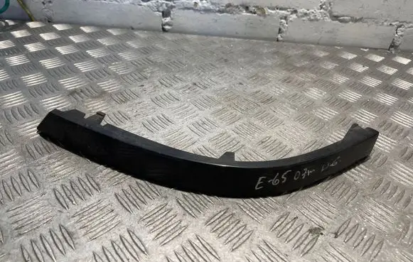 Rear/tail light trim molding