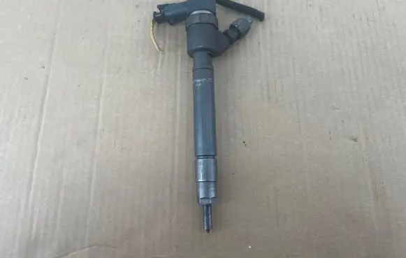 Hyundai Santa Fe Fuel injector 0445110251
