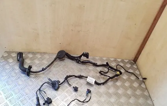 Audi A8 S8 D4 4H Front door wiring loom 4H0971030HQ