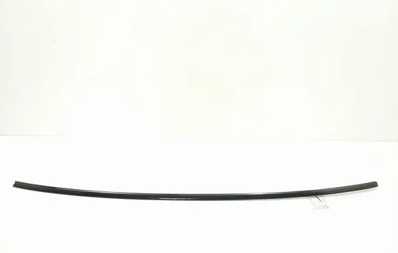 Mercedes-Benz CL C215 Rubber seal front coupe door window A2156700022