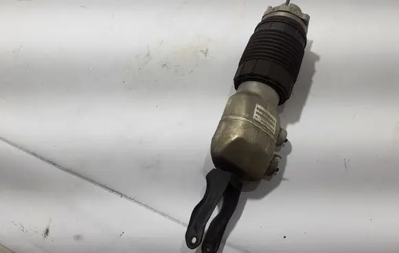 Porsche Panamera (971) Front shock absorber/damper 971616038G