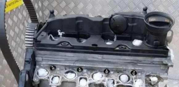 Skoda Octavia Mk2 (1Z) Engine head CAYG