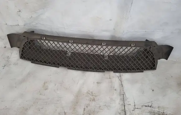 BMW 3 E46 Front grill 7893324