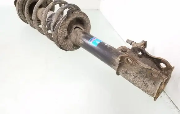 Chevrolet Lacetti Rear shock absorber with coil spring 