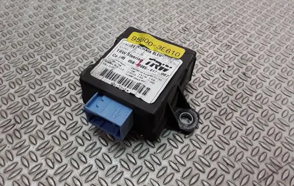 KIA Sorento Other control units/modules 956003E610