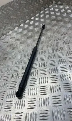 Opel Insignia A Tailgate/trunk strut/damper