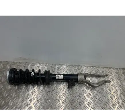 BMW iX Front shock absorber with coil spring 6891994