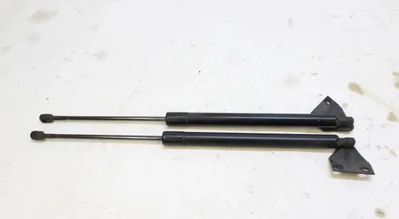 Tailgate strut